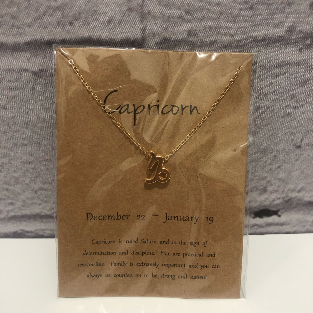 Capricorn Necklace
